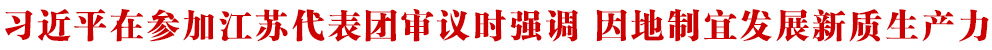 习近平在参加江苏代表团审议时强调 因地制宜发展新质生产力