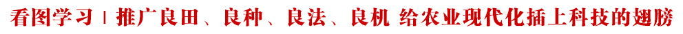 看图学习丨推广良田、良种、良法、良机 给农业现代化插上科技的翅膀