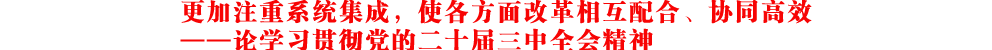 更加注重系统集成,使各方面改革相互配合、协同高效