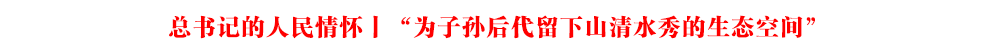 总书记的人民情怀丨“为子孙后代留下山清水秀的生态空间”