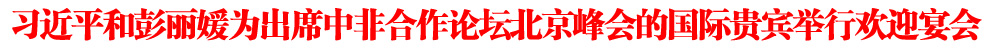 习近平和彭丽媛为出席中非合作论坛北京峰会的国际贵宾举行欢迎宴会